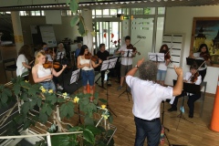 Junge Musikerinnen und Musiker der Musikschule Konstanz beim Serenadenkonzert im Luisenheim